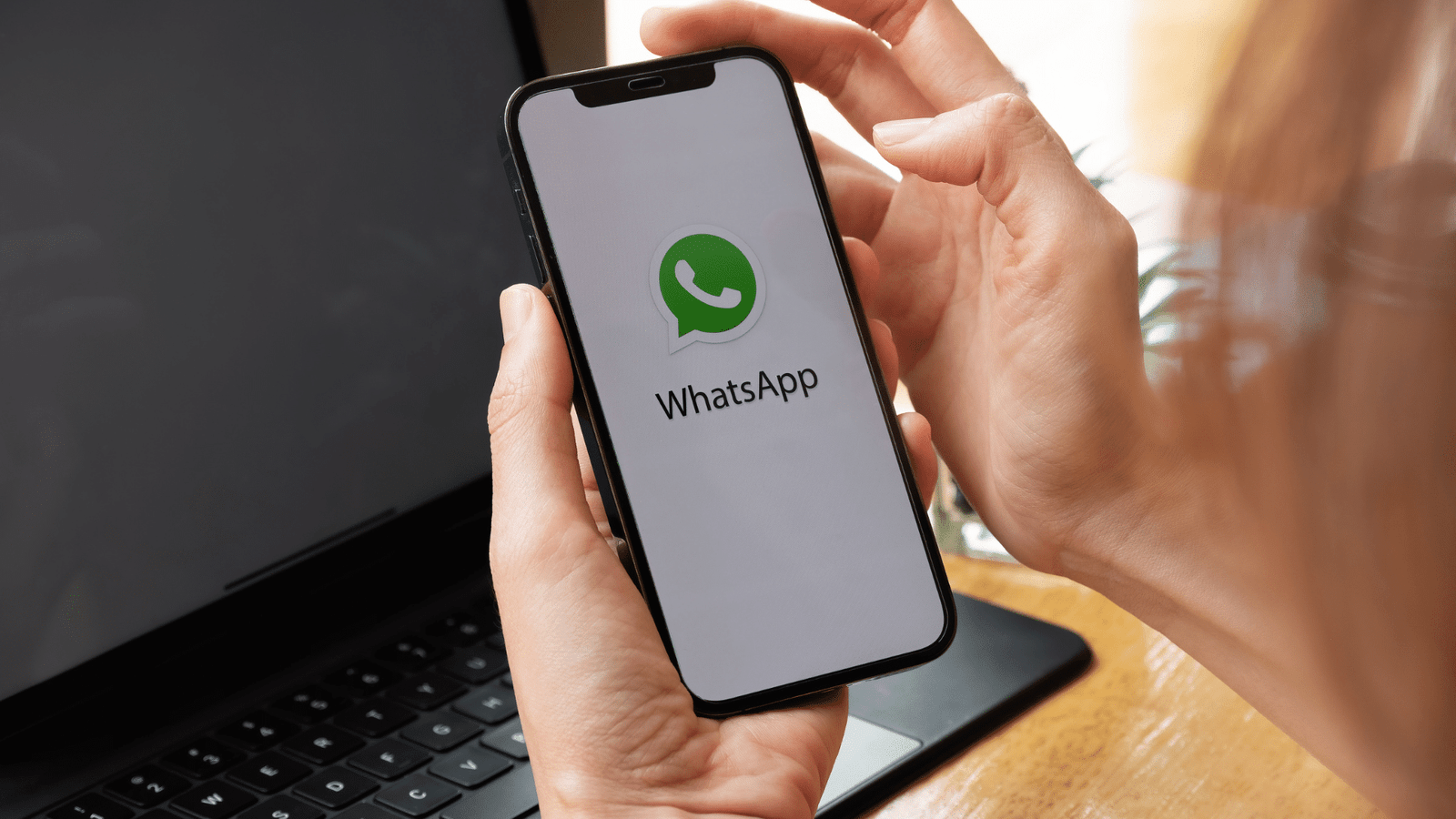 Complete whatsapp marketing platform by kyna digital world